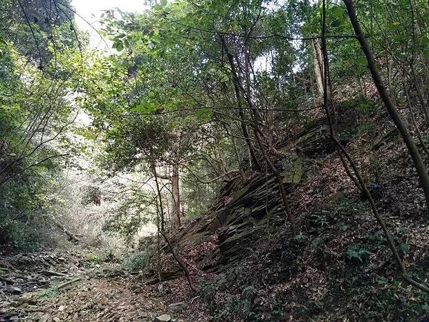 烟台市口腔医院幸福分院：芳华十载写峥嵘，勇毅笃行护健康